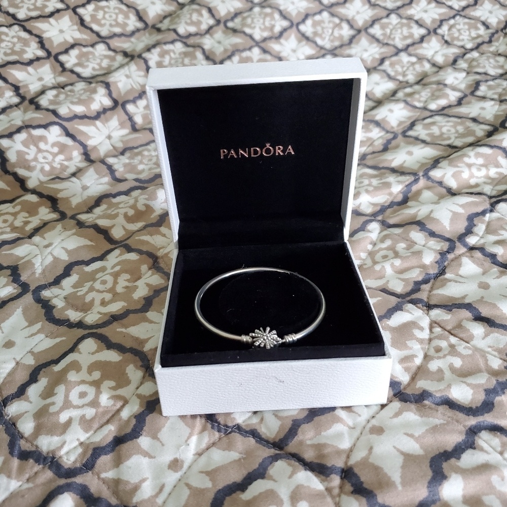 Pandora bracelet